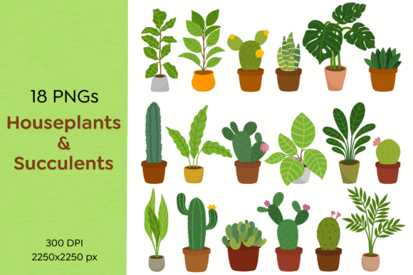 Download Houseplants and Succulents PNG Clipart - Clipart Collection