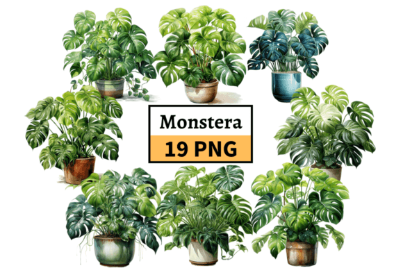 Download Potted Monstera Plant Clipart Bundle PNG - Clipart Collection