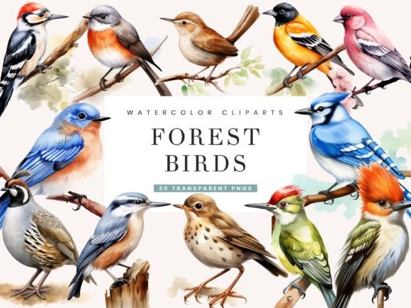 Download Watercolor Forest Birds Clipart Bundle - Clipart Collection
