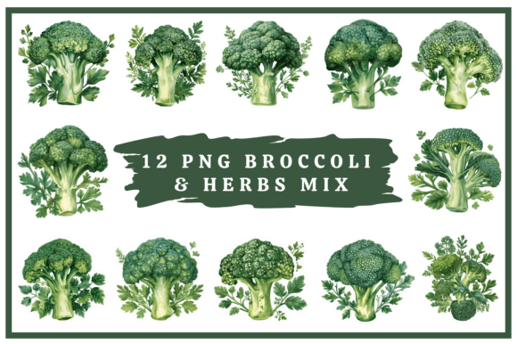 Download Broccoli Watercolor Clipart Bundle #11 - Clipart Collection