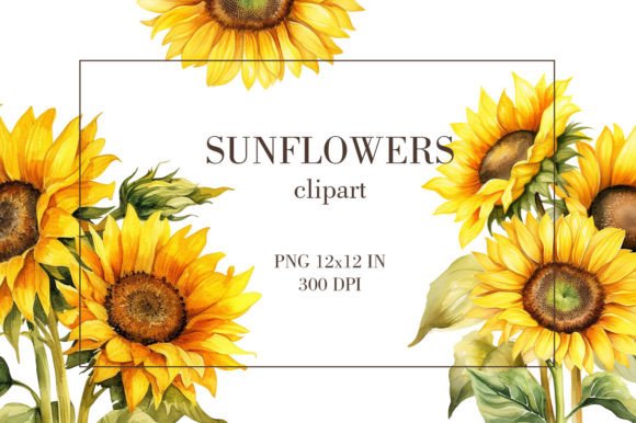 Download Watercolor Sunflowers Clipart PNG - Clipart Collection